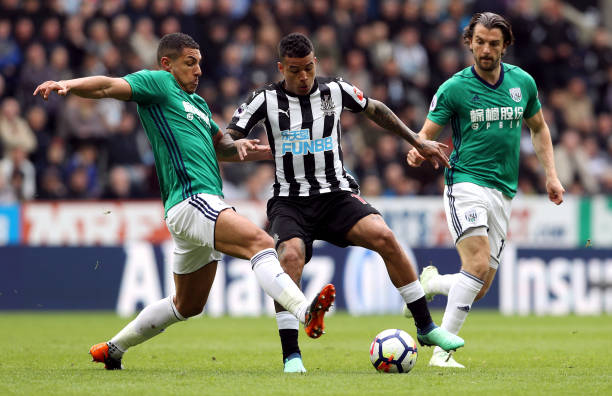 可能在夏季 可能在夏季