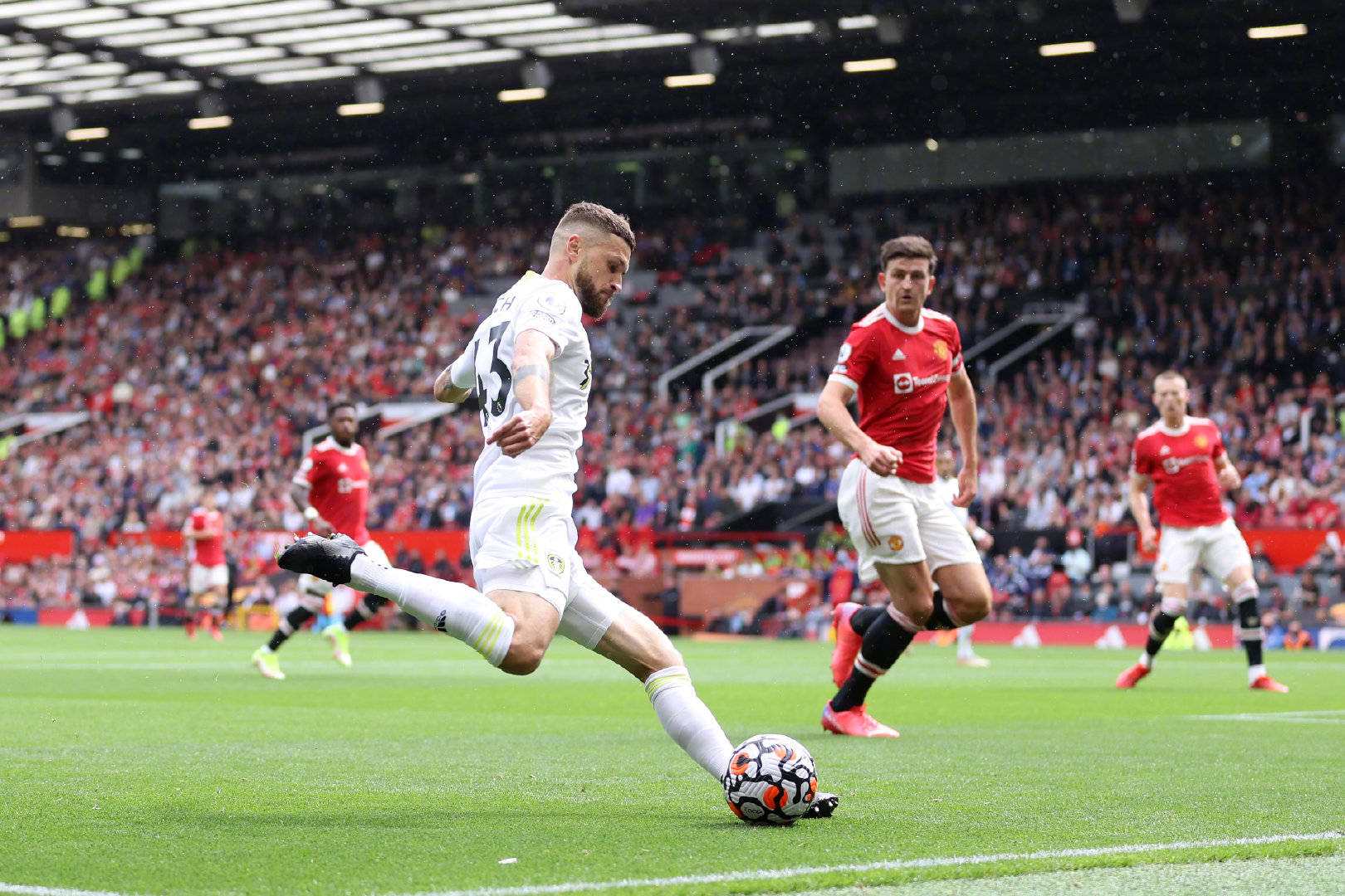 貌的行为具 貌的行为具