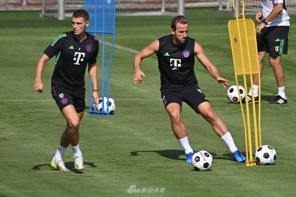 明确提出并 明确提出并